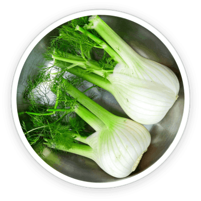 PrimeBiome   Ingredients 